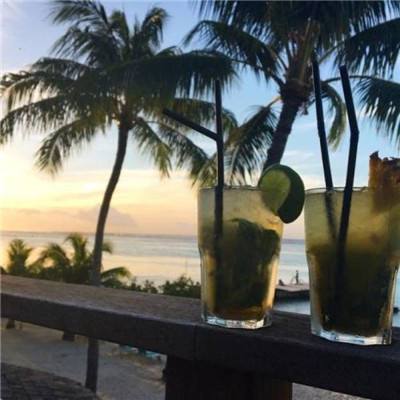 bob官方体育综合下载